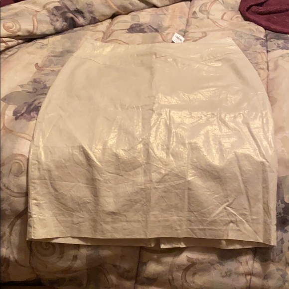 Banana Republic Dresses & Skirts - Banana Republic Iridescent Skirt